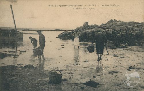 1651 - St-Quay-Portrieux - Les iles St-Quay - La pêche aux coques